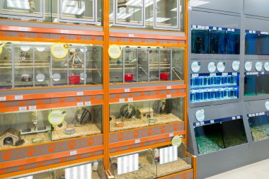 Moskova, Rusya - Nisan 16.2016. Fareler ve dört paws evde beslenen hayvan stok kuş