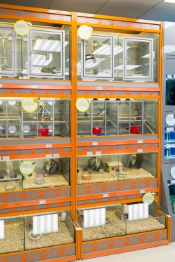 Moskova, Rusya - Nisan 16.2016. Fareler ve dört paws evde beslenen hayvan stok kuş