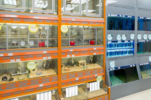 Moskova, Rusya - Nisan 16.2016. Fareler ve dört paws evde beslenen hayvan stok kuş