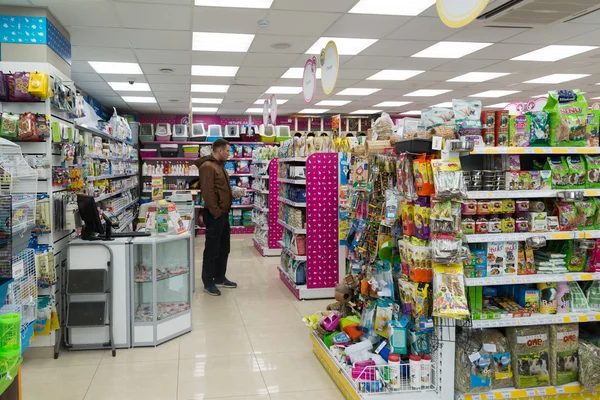 Moskova, Rusya - Nisan 16.2016. Evde beslenen hayvan stok iç dört paws