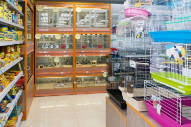 Moskova, Rusya - Nisan 16.2016. Evde beslenen hayvan stok iç dört paws