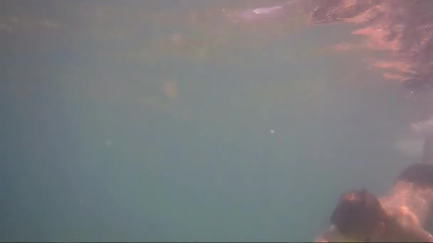 Teenager floats under water in sea — Stock Video