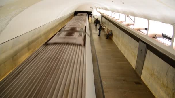 Moscú, Rusia - 5 de marzo. 2016. el tren llega a la estación de metro Biblioteka imeni Lenina — Vídeos de Stock