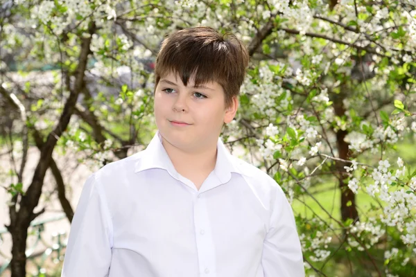 Porträtt av en pojke tonåring på en bakgrund av blommande körsbär — Stockfoto