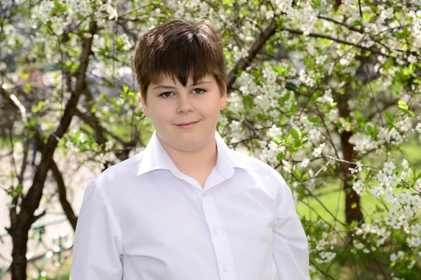 Portrait of a boy teenager on a background of flowering cherries — Stock Photo, Image