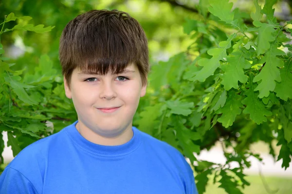 Portrait of boy of about 12 years in Oak Park — Stock Photo, Image