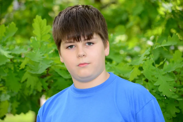 Portret van een jongen van ongeveer 12 jaar in Oak Park — Stockfoto