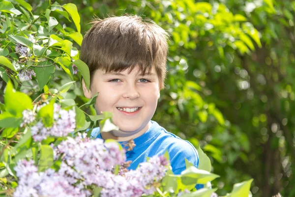 Portret chłopca w parku z kwitnące bzy — Zdjęcie stockowe