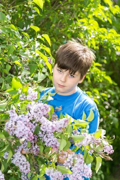 Retrato de menino no parque com lilases floridos — Fotografia de Stock