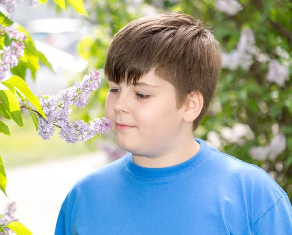 Pojken att lukta en lila blommor i park — Stockfoto