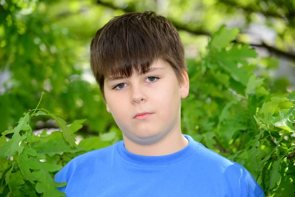 Portrait of boy of about 12 years in Oak Park — Stock Photo, Image