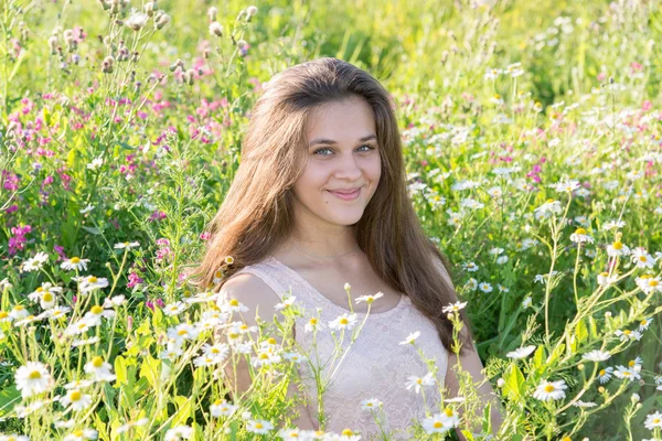 野生の花の草原に座っている女の子 — ストック写真