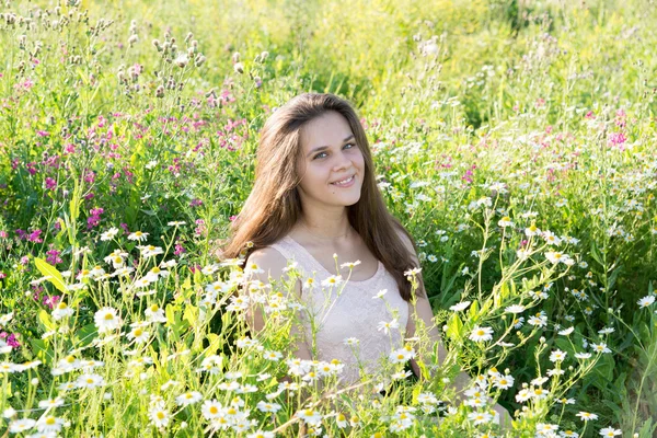 Menina senta-se no prado com flores selvagens — Fotografia de Stock