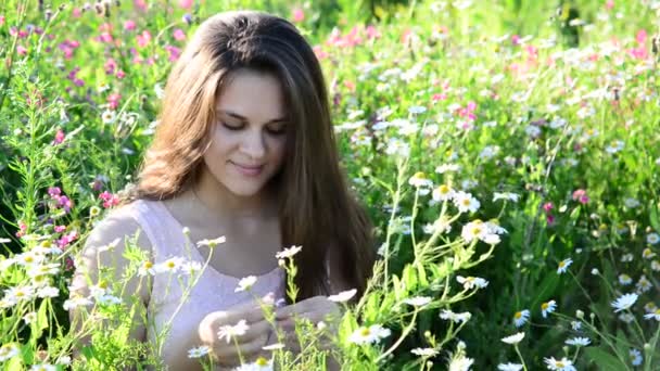 Flickan berättar förmögenheter på en kamomill blomma på ängen — Stockvideo