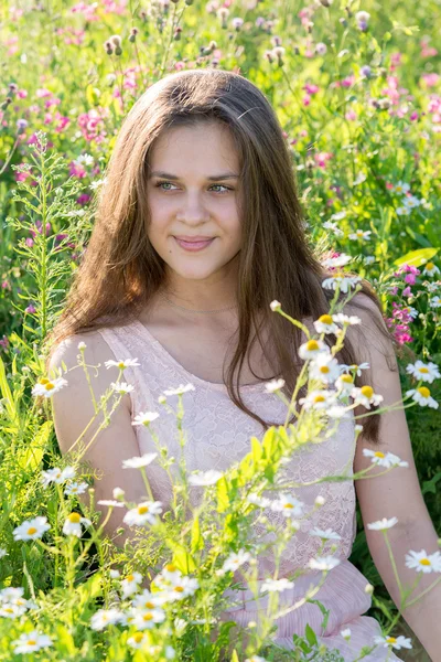 Menina bonita na clareira com flores de prado — Fotografia de Stock