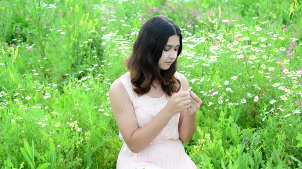 Young girl guesses on camomile in a meadow — Stock Video