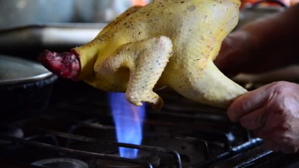 Casalinga che canta piume con pollo fatto in casa — Video Stock