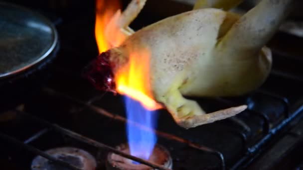 Hospodyňka opalování peří s domácí kuře — Stock video