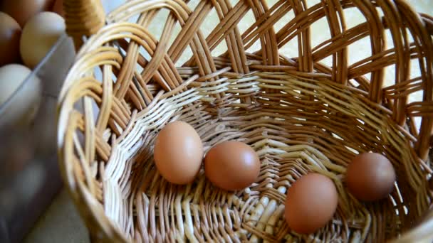 Femme ajoute des œufs dans le panier en osier, fermer — Video