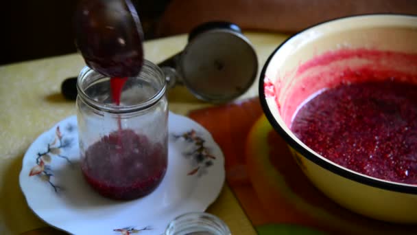 Femme met confiture de framboise à la main dans un bocal — Video