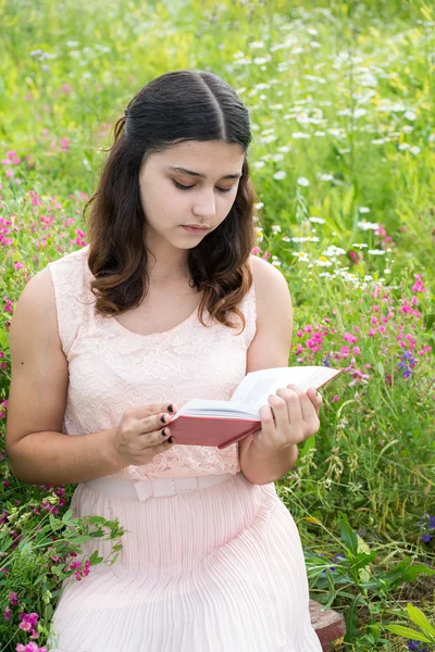 Menina de cabelos escuros lendo um livro sobre a natureza — Fotografia de Stock