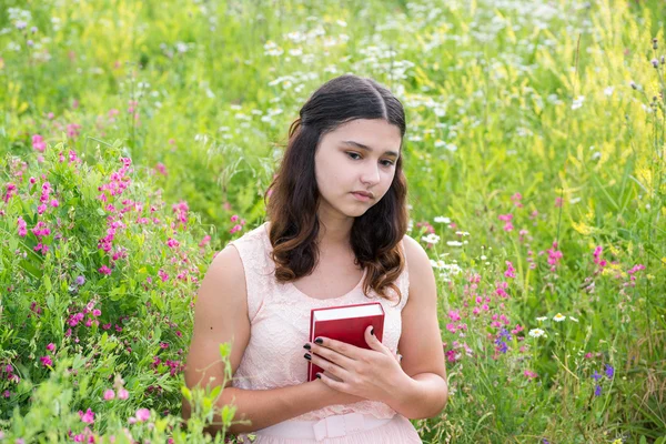 Ρομαντικό κορίτσι διαβάζοντας ένα βιβλίο στη φύση — Φωτογραφία Αρχείου