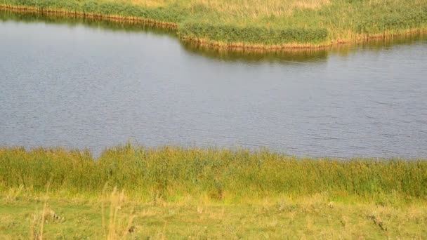 Paisaje con río en Rusia — Vídeos de Stock