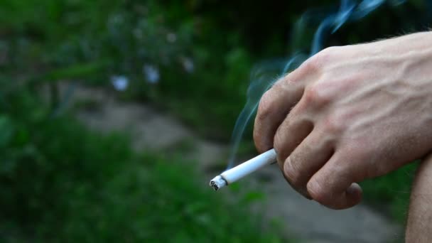 Homme main avec une cigarette sur fond de nature — Video