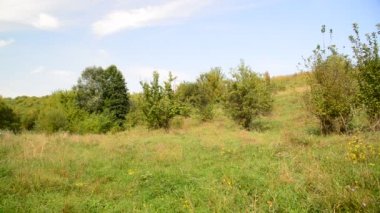 Orta Rusya Ağustos ayında doğası