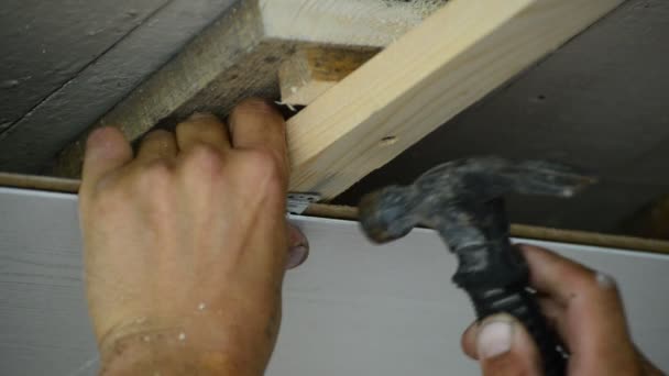 Worker makes the ceiling of MDF panels — Stock Footage Worker makes the ceiling of MDF panels Stock Footage