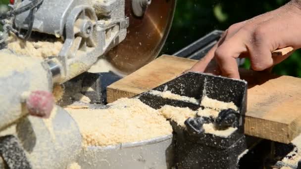 Man sawing wooden plank with circular saw — Stock Video