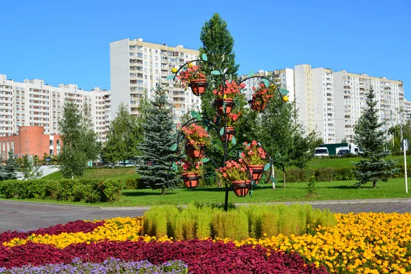 Kwiat łóżko w Zelenograd w Moskwie, Rosja — Zdjęcie stockowe