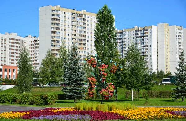 Lit de fleurs à Zelenograd à Moscou, Russie — Photo