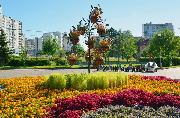 Moscú, Rusia - Septiembre 01.2016. macizo de flores en Zelenograd en Moscú, Rusia — Foto de Stock