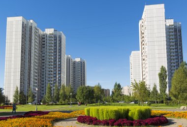 Moskova, Rusya - Eylül 01.2016. Zelenograd, Rusya'nın Moskova büyük çiçek yatakta