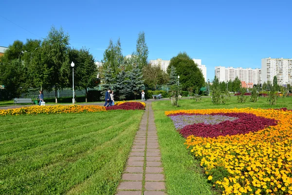 Moscou, Rússia - setembro 01.2016. Cama de flores grande em Zelenograd em Moscou, Rússia — Fotografia de Stock
