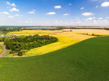 Rusya 'daki mısır ve ayçiçeği tarlalarının en üst görüntüsü