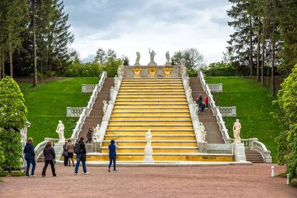 Peterhof Rusia Junio 2017 Escalera Oro Fuente Cascada Parque Inferior — Foto de Stock