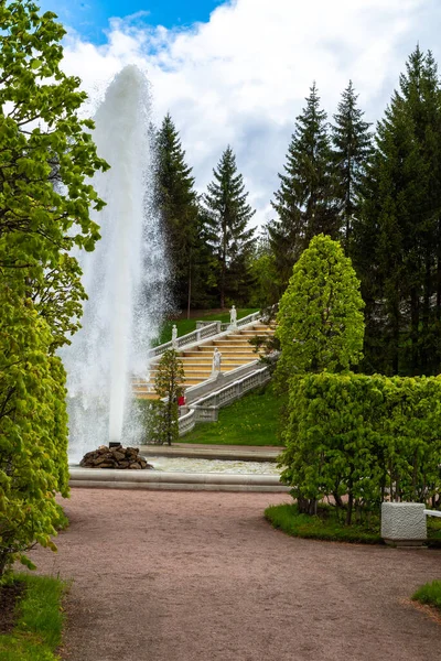 Peterhof, Russia - June 03. 2017. Golden staircase - cascade fountain in Lower park — Stock Photo, Image