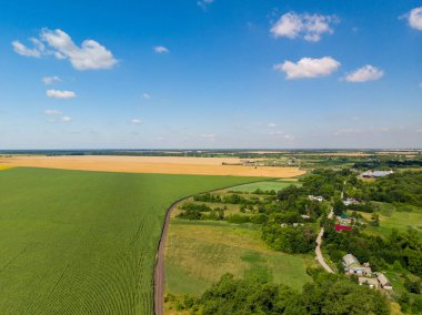 Rusya 'da güzel bir kırsal yaz manzarası