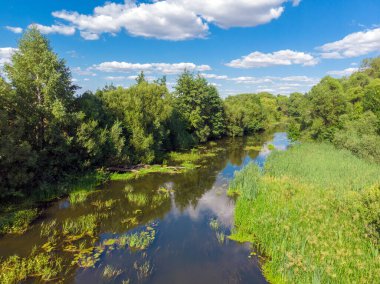 Rusya 'daki nehirle yaz manzarası