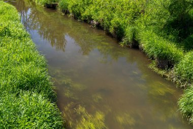 Yazın küçük nehir kıyısında.