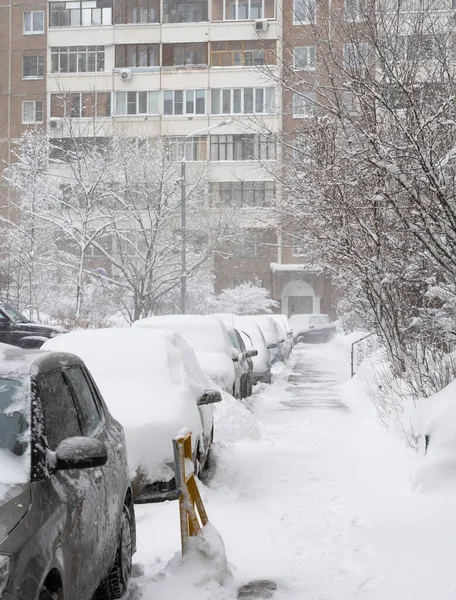 Cars in the yard of a house during heavy snowfall in Russia