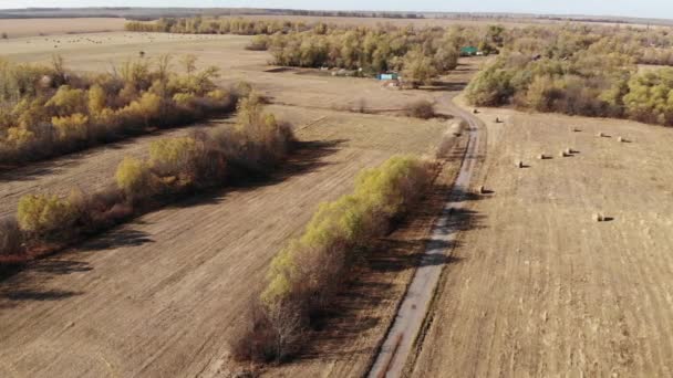 Vacker landsbygd höst landskap från en höjd i Ryssland — Stockvideo