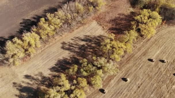 Frumos peisaj rural de toamnă de la o înălțime în Rusia — Videoclip de stoc