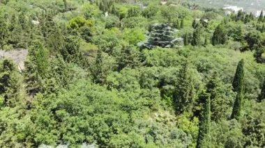 Foros Park, peyzaj mimarisinin bir anıtı. Kırım