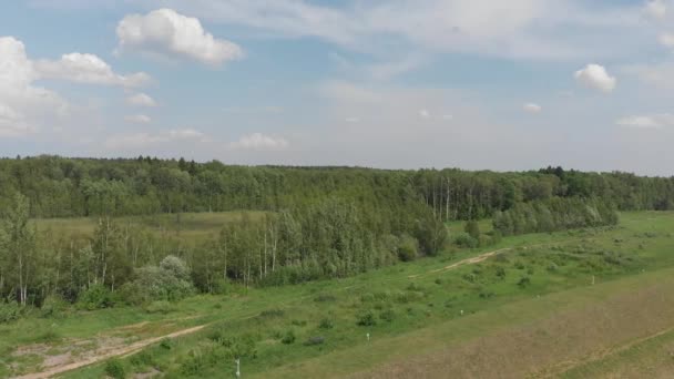 Tiro de zangão da natureza de estepe florestal na Rússia — Vídeo de Stock