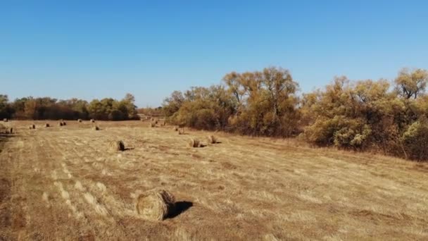 Schöne ländliche Herbstlandschaft aus der Höhe in Russland — Stockvideo