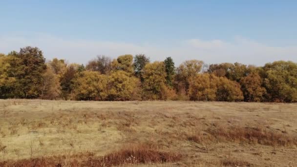 Дронні зйомки - осінній пейзаж околиць села в Росії. — стокове відео