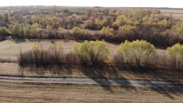 Hermoso paisaje rural de otoño de un dron en Rusia — Vídeos de Stock